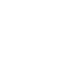 DELIXI德力西控股集团